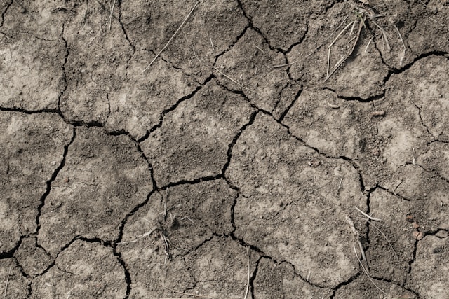 5-glckstage-nach-tierkreiszeichen